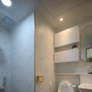 리젤펠리스APT 이미지