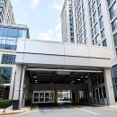 다시봄날의원 | 얼굴에도 벚꽃 엔딩? 다시봄날의원 가서 텐션 올려봤어요!