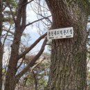 용당내광로 이미지