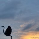 학 상징조형물 이미지