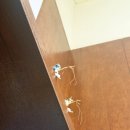 연산성모안과의원 이미지