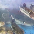 선사복집 이미지