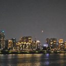 (주)강아유 이미지