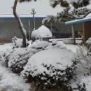 일봉농장 이미지