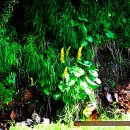 SPA 온(溫) 이미지