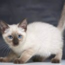 집사의 하루 대구점 이미지