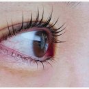 아이홀릭 이미지