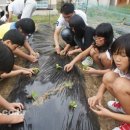 (주)거제타임즈