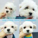 괴정3동-3 이미지