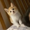 역전주차장 이미지