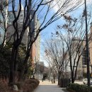 강남 속눈썹 이물감 없이 자연스러운 청담 속눈썹연장 바이수 찐찐추천