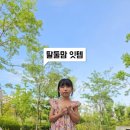 엔와이스토리