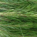 와동농장 이미지