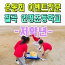 포항남부초 병설유치원 | 운동회이벤트업체 칠곡 인평초 체육대회 미니운동회 전문 구미