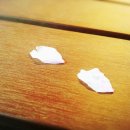 한잎빙수 이미지