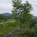 덕곡농장 이미지