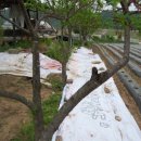 서강농장 이미지