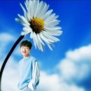 쓰리랑PC Daum카페