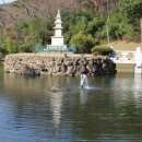 대황강자연휴식공원 이미지