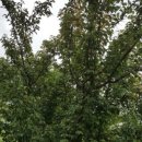 용래농장 이미지