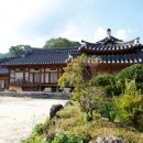 네모스테이