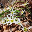 남해-149 이미지