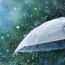 (주)와이지-원 충주공장 | 장마 둘째 주, 첫 주 데이터로 사양 최적화하는 4단계 가이드 📊