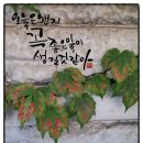 오늘은왠지좋은일이생길것같아