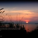 스카이랜드부동산중개법인 이미지