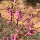 재철농장 이미지