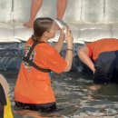 세월낚기 | 얼음낚시 화천산천어축제 꿀팁