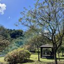 공작산주차장 | 강원도 홍천 가볼만한곳 수타사 공작산 생태숲 산소길