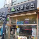 쥬시동물병원 이미지