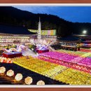 삼광사 이미지