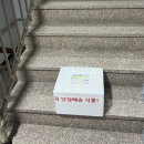춈미가 극찬한 순대국 술국 내돈내산 후기 : 땡큐리 순대국