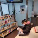 금빛동물병원 이미지