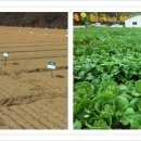 개울농장 가기전 이미지