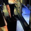 로쿠베스시 | 결혼기념일 맞이 제주도 2박3일 여행기 - 올레길 20코스 성공