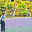 안산자락길 숲속카페 이미지