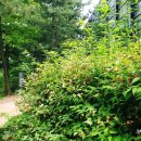 도리당구장 이미지