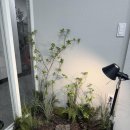 조이미용실 이미지