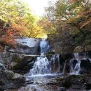 숲과계곡속으로 이미지