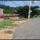 장안읍반룡리-74 이미지