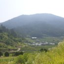2nd촌집 네이버블로그