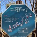 팔공산왕건길 8코스 | 대구 (팔공산 올레길) 1코스 한실골 가는 길~~!!