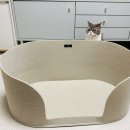 올데이바스켓
