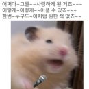 윤씨곡 | 📌1월 일상조각모음_ [후기] 260110 윤하 소극장 콘서트 '빛나는 겨울'