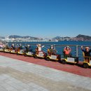 신호초등학교병설유치원 이미지