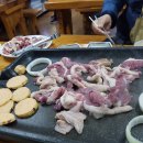 터미날21 이미지