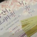 봄 인디, 보러와유 이미지